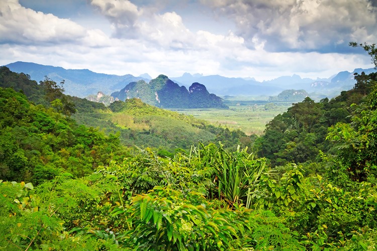 Khao Sok Nationaal Park, Thailand